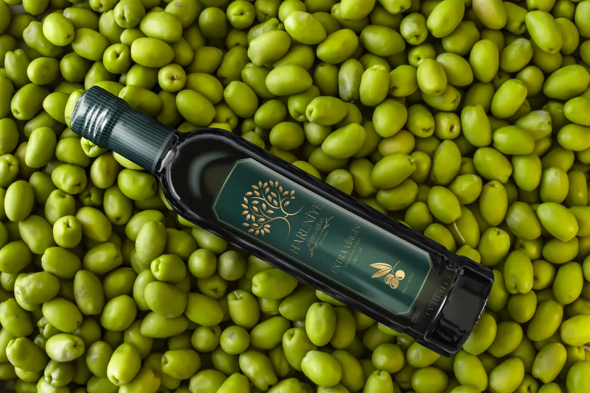 Kurumsal Kimlik Tasarımı - 3